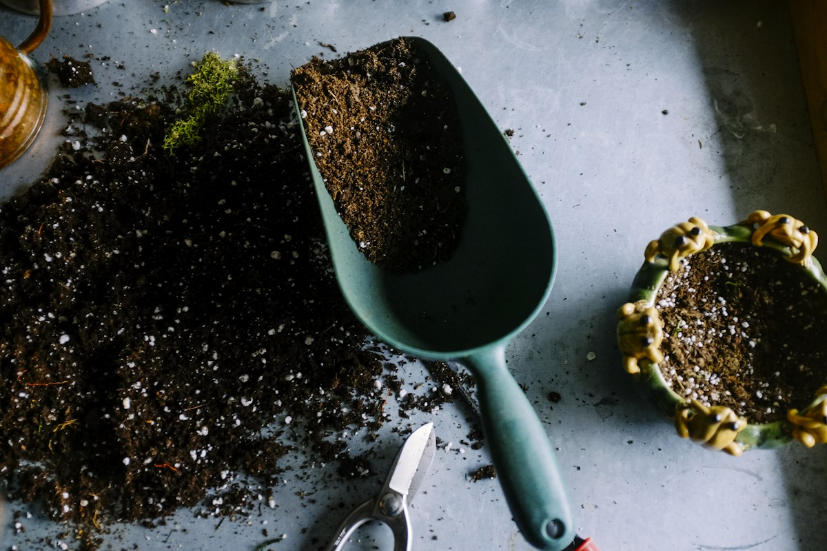 Hands potting a plant at a garden workbench